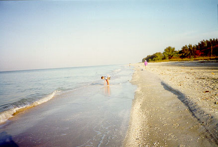 A quiet residential beach on Sanibel Island