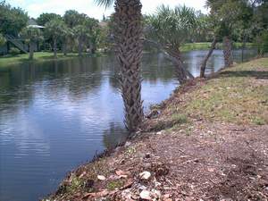 East lake view from Sanibel vacation rental Home #6