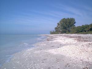 Sanibel beach and shoreline