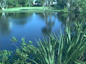 Lake scenery on Sanibel