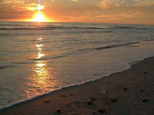 Sunset scene 1 of 5 on Sanibel