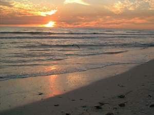 Sunset scene 2 of 5 on Sanibel